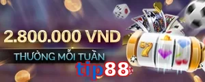 tip88