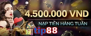 tip88
